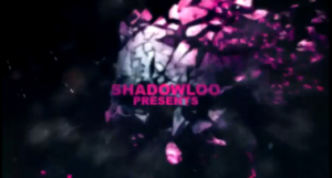 Shadowloo Showdown 2011