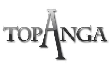 TopAnga Charity Tournament #2 (Résultats et Vidéos – 08/04/2012)